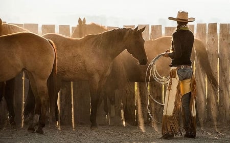 Early Work . . - fun, chaps, female, boots, hats, brunettes, western, cowgirl, style, Taylor Teichert, women, models, girls, outdoors, horses, ranch, corral