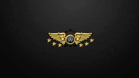 Counter Strike - Global Offensive Ranking - awards, military, CS, Army, Supreme Master First Class, legendary, Global Offensive, video game, ranking, game, shooter, Counter Strike, CS GO, Counter Strike Global Offensive, CS Global Offensive, medals, Counter Strike GO, FPS, system, gaming, honors