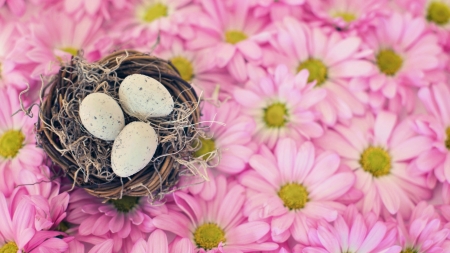 Happy Easter! - easter, nest, egg, card, flower, pink