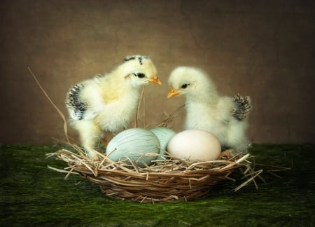 Happy Easter! - bird, chicken stories, easter, basket, green, pasare, cute, egg, pui, daykiney