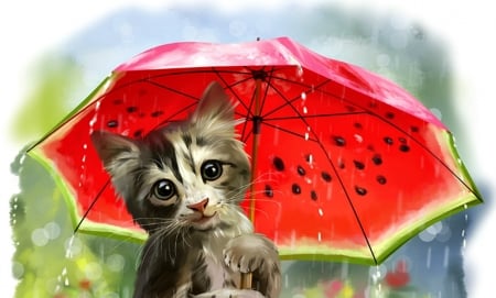 Summer rain - watermelon, cat, summer rain, pisica, fantasy, kitten, art, red, umbrella, luminos, green, lorri kajenna