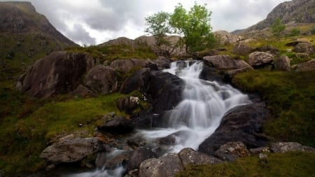 Mountain Falls - nature, falls, trees, mountain, waterfall, rocks