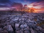 rocky sunset