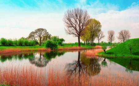 spring pond - fun, nature, pond, lake, spring, field, cool