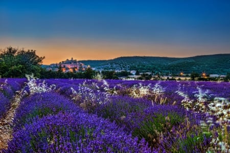 The lavender of Banon - pretty, France, lavender, summer, town, beautiful, village, countryside, picturesque, Provence, huills, field, dusk, sky