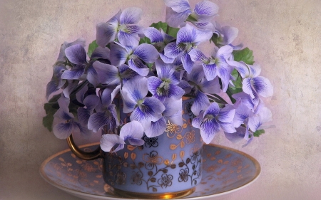 Pretty Violets - plate, pretty, violet, flower