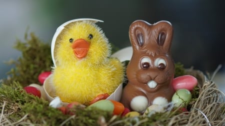 Easter nest - eggs, chicken, yellow, brown, chocolate, bunny, toy, easter, holiday, nest