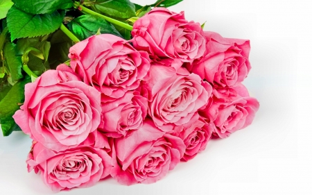 Bunchs of red roses - leaves, green, flowers, roses