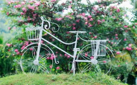 Summer Garden - roses, bike, blossoms, bush