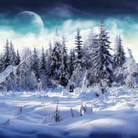 Cold landscape