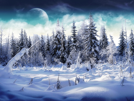 Cold landscape - winter, freeze, beautiful, cold, landscape, snow