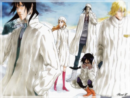 Bleach Winter - anime, tv show