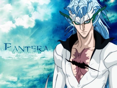 Pantera - anime, tv show