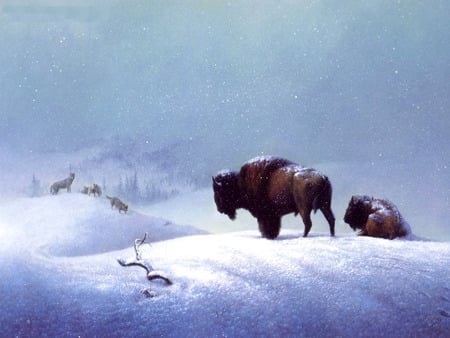 the last stand - bison, wolfves, snow