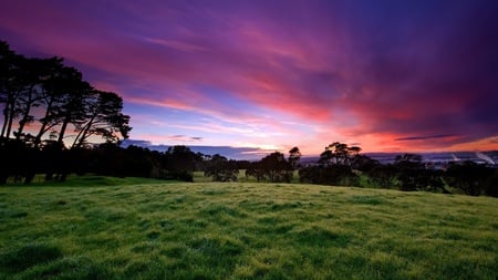 Beautiful Morning Green - freshness, cool, warm