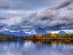 AUTUMN TREES UNDER DARK CLOUDS