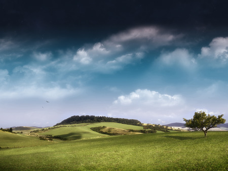 Nature beautiful landscape - nature, landscape, green, field, serenity