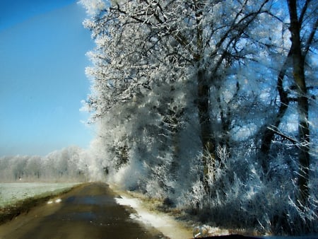 a road in upper bavaria - upper bavaria, road, snow