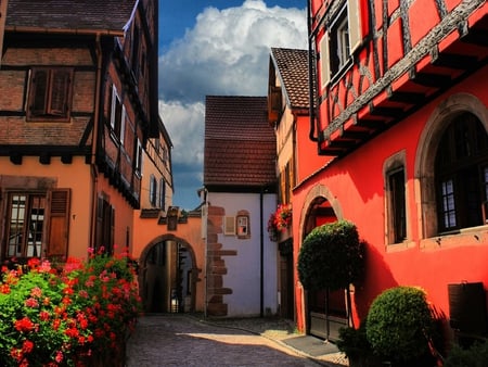 The red house in Ribeauville  Alsace