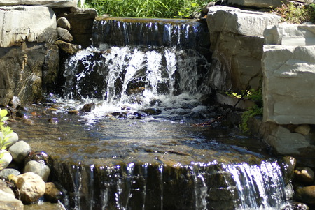 Mini Waterfall - waterfalls, forest, nature, wild life