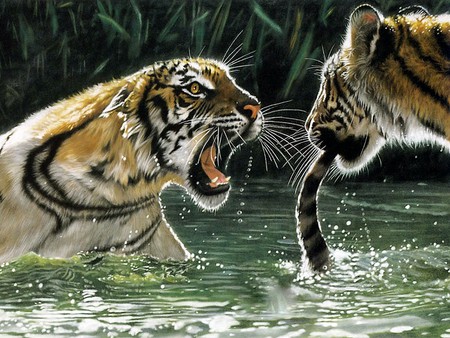 Wild Growl - water, growling, cats, tail, tigers, art