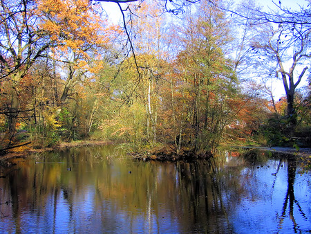 Autumn Signs - trees, rivers, colors, forest, leaves, fall, nature, autumn, swamp