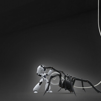 Spider and 3D Robot Fight