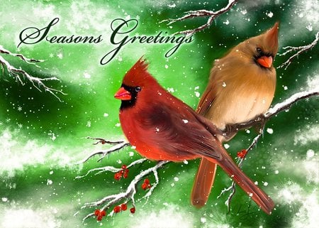 Cardinals - cardinals, christmas, birds, green