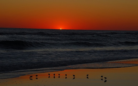  Lovely Evening Sunset - breezing, warm, wave, cool