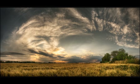 Beautiful Skies And Fields - clouds, skies, trees, grass lands, nature, fields