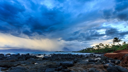 Rocky Shore Above the Clouds - nature, sky, trees, clouds, rock, shore, palm, sea