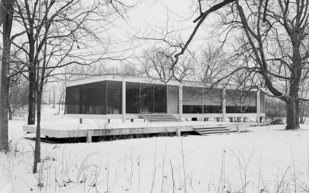 Modern Housing - house, trees, wood, snow, forest, Modern Housing, architecture, home, modern, new, woods