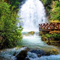 Beautiful Forest Waterfall