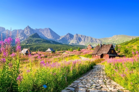 Tatras chalets - hills, vacation, beautiful, chalets, Tatras, landscape, spring, meadow, walk, mountain, wildflowers, path, Poland, picturesque, peaceful, sky