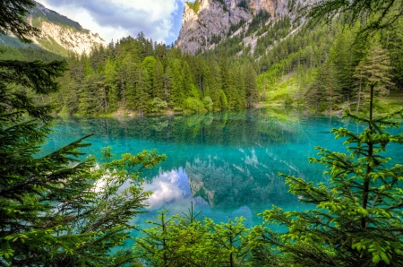 Beautiful nature - greenery, trees, beautiful, spring, forest, reflection, mountain, shore, mirror, tranquility, cliffs, serenity, lake, peaceful, rocks