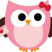 Pink owl