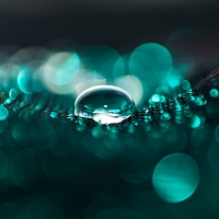 Water Bokeh