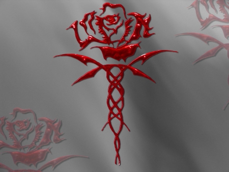 Blood Rose - blood, red, gray, rose, three