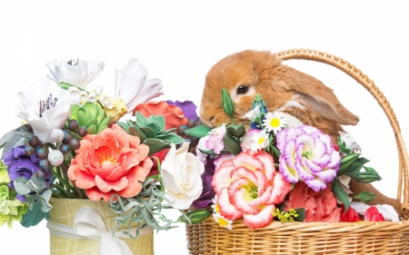 Spring Bunny - easter, basket, bunny, spring, vase, easter bunny, rabbit, bow, flowers, ribbon