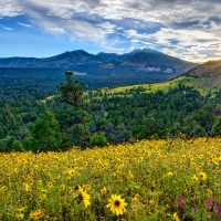 Sunrise at Arizona Valley