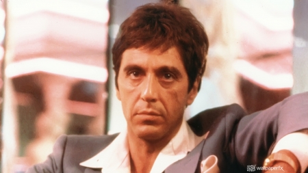 Al Pacino - Scarface - movie, tony montana, american, black and white, al pacino, scarface, film, 1983, mafia, don, drug, the boss