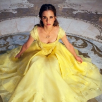 Beauty and the Beast (2017)