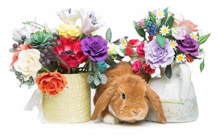 Happy Easter! - easter, iepuras, bunny, spring, rabbit, card, animal, cute, flower