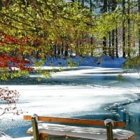 Rest Near Frozen Lake