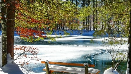 Rest Near Frozen Lake - lake, trees, winter, park, nature, forest, snow, frost, rest, pond