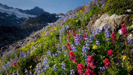 Spring in Mountain - valley, flowers, spring, nature, mountain, park, paradise