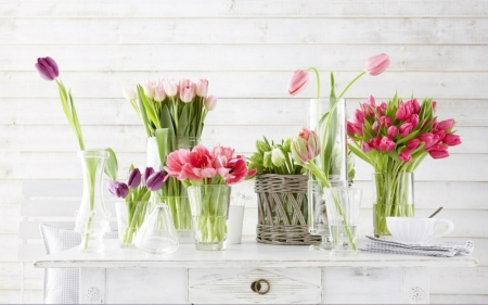 Beautiful Flowers - tulips, wood, flowers, bloom