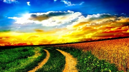 Sunrise Over the Field - rays, sky, songlow, meadow, field, path, nature, clouds, golden, sunrise