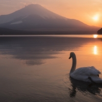 Lake Yamanaka