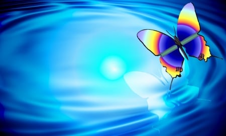 Butterfly ripple redrawn 02 - butterfly, ghosting, blue, ripples